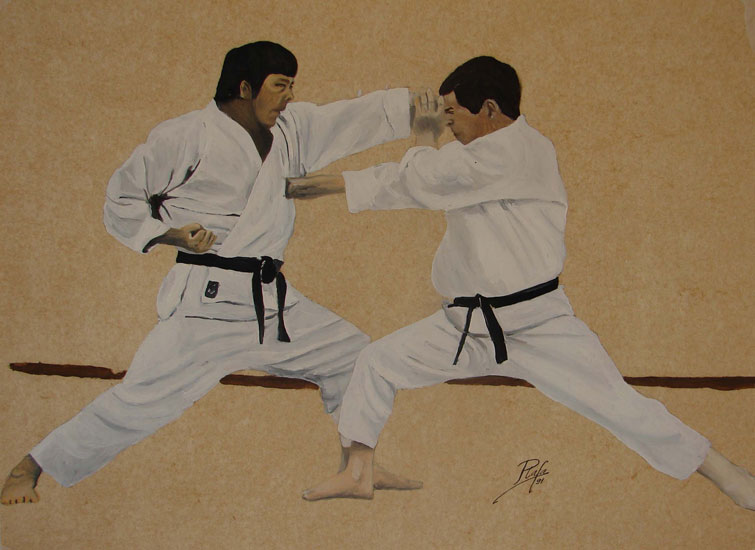 Combate Karate