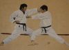 Combate Karate