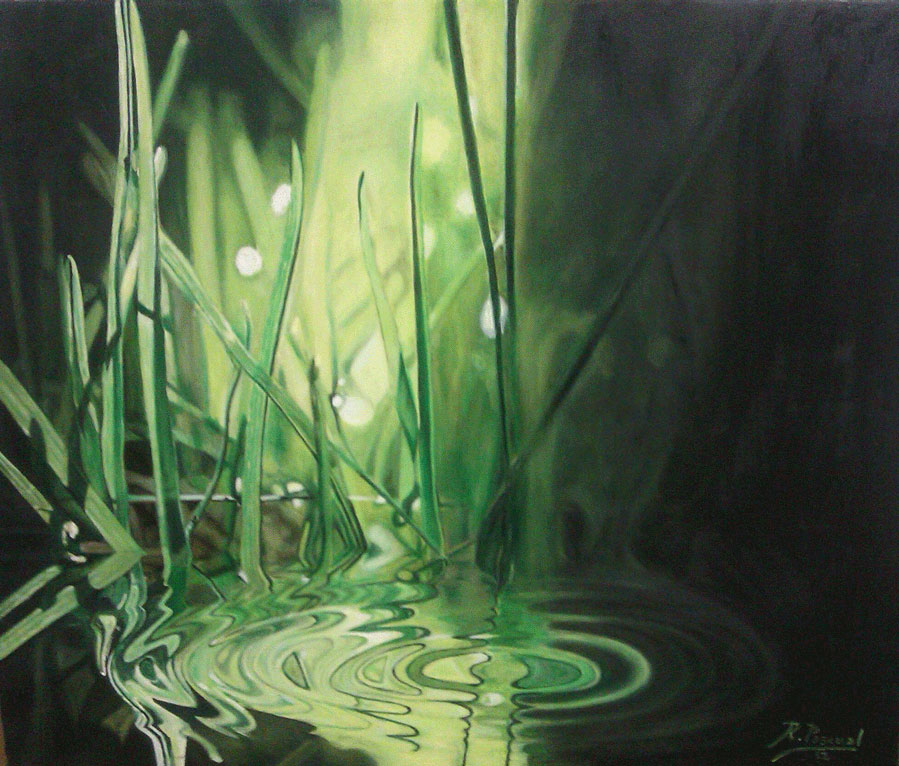 reflejadas